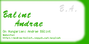 balint andrae business card